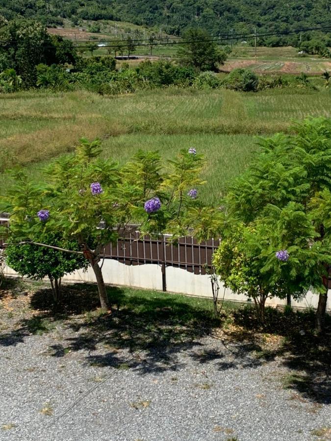 Happiness House B&B Chenggong Dış mekan fotoğraf